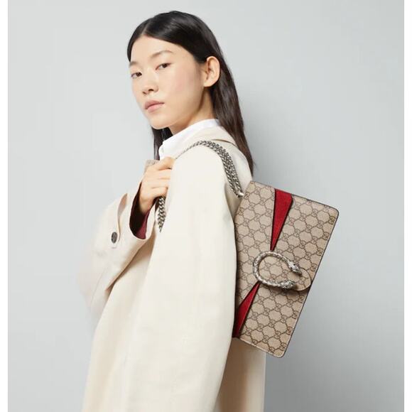 GUCCI LIMITED EDITION SOLD OUT NWT Dionysus GG Small Shoulder Bag W/ RED SUEDE - Picture 5 of 6